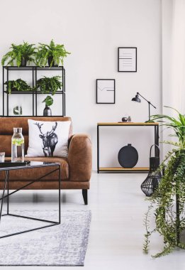 Dikey kahverengi deri kanepe yastık ile sürahi ve raf yeşil bitkilerin tam içeren tablo ile zarif oturma odası görünümünü