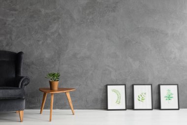 Koyu mavi kadife koltuk bitki pot ve yaprak grafik siyah kare ile küçük ahşap coffee table, beton duvarlar üzerinde kopya alanı ile gerçek fotoğraf yanında