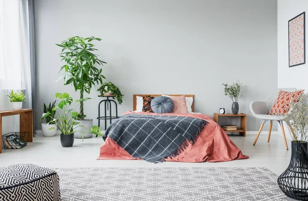 Stedelijke Jungle Moderne Slaapkamer Met King Size Bed Comfortabele Grijze — Stockfoto