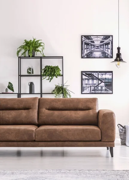 Prateleira Com Plantas Verdes Atrás Grande Sofá Couro Confortável Sala — Fotografia de Stock