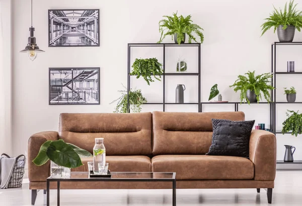 Braunes Ledersofa Mitten Eleganten Wohnzimmer Mit Urbanem Dschungel Konzept — Stockfoto