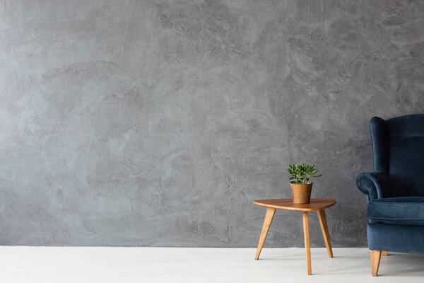 Velvet armchair next to small wooden table with green plant in pot, real photo with copy space on concrete wall