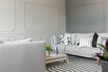 Yastıkları ile halı üzerinde bitki basit salon iç tablo ile gri kanepede. Gerçek fotoğraf
