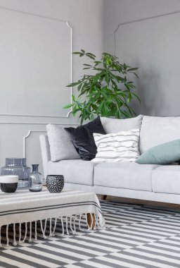 Desenli halı ve kupalar ve gri kanepe ile şık oturma odasında cam vazolar sehpa