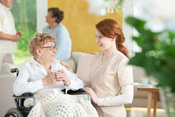 Fröhliche Krankenschwester Gespräch Mit Lächelnder Gelähmter Älterer Frau Rollstuhl — Stockfoto