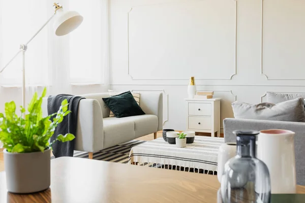 Pflanze Auf Holztisch Weißen Wohnzimmerinterieur Mit Lampe Und Grauem Sofa — Stockfoto