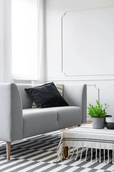 Pflanze Auf Tisch Neben Grauem Sofa Mit Schwarzem Kissen Wohnzimmerinnenraum — Stockfoto