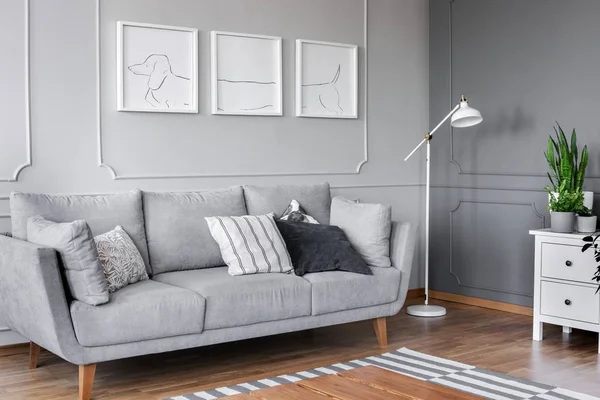 Affischer Ovan Grå Soffa Med Kuddar Vardagsrum Inredning Med Lampa — Stockfoto