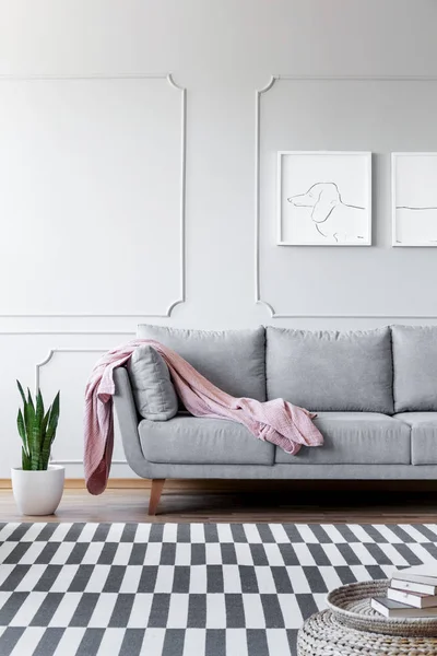 Planta Junto Sofá Gris Con Manta Rosa Interior Sala Estar — Foto de Stock