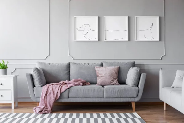 Cartazes Cão Acima Confortável Sofá Cinza Elegante Sala Estar Interior — Fotografia de Stock