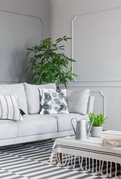 Cojín Estampado Sofá Gris Interior Sala Estar Con Planta Mesa — Foto de Stock