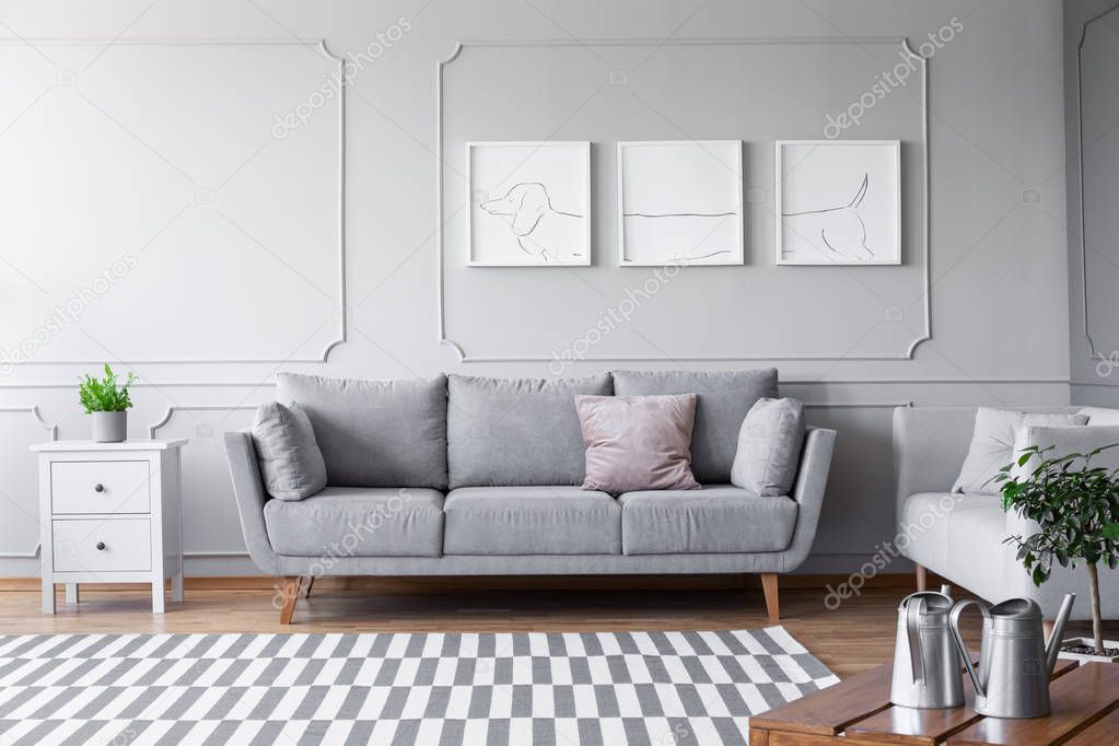 Small white commode with green plant in grey pot on to of it next to comfortable couch with pillows in scandinavian living room, real photo with copy space and mockup