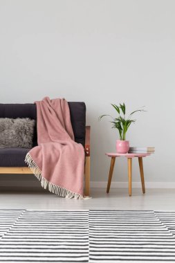 Küçük coffee table bitki pembe tencerede ile kopya alanı ile gerçek fotoğraf yanında pastel pembe battaniye ile kanepe ve dikey görünüm