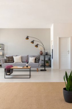 Bej halı bir açık oturma odası iç kanepe, modern lamba ve sehpa ile birlikte. Gerçek fotoğraf