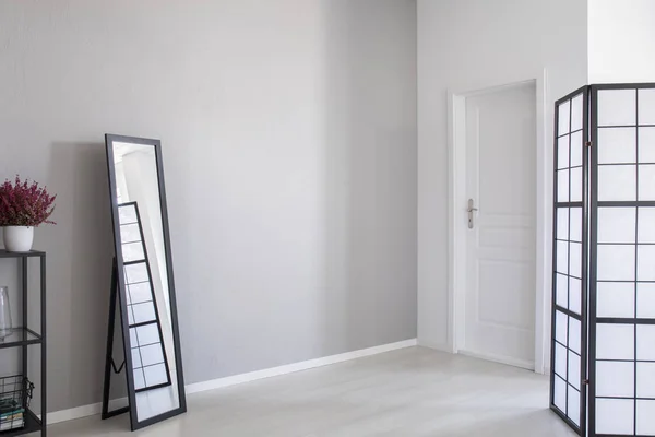 Real Photo Minimal Entrance Hall Interior Light Grey Empty Wall — Stock Photo, Image