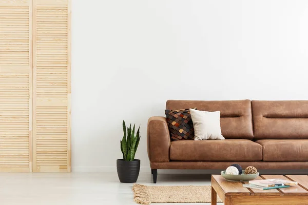 植物の白いフラット インテリア木製の画面の次に茶色の革のソファの上に枕 実際の写真 — ストック写真