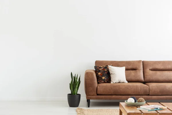 Poduszki Brązowy Skórzany Sofa Biały Salon Wnętrza Roślin Kopiować Miejsca — Zdjęcie stockowe