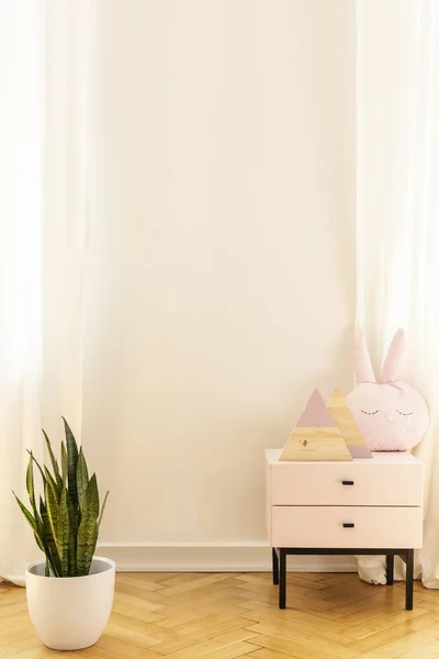 Real Photo Empty Wall Kid Room Interior Cabinet Plant Place — Stock Photo, Image
