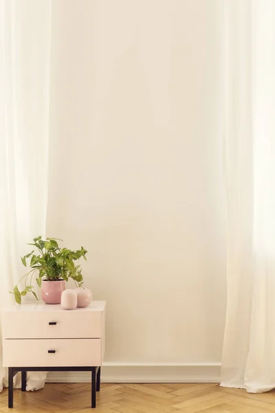 Empty Wall Cabinet Plant Living Room Interior Place Your Painting — Stock Photo, Image