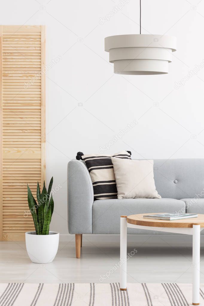 Lamp above grey settee with pillows in white flat interior with plant and wooden table. Real photo