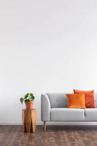 Orange Cushions Grey Settee Next Plant Wooden Table Grey Flat — Stock Photo, Image