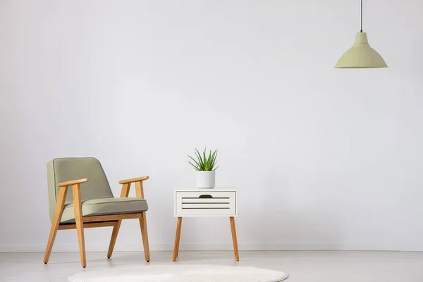 Fauteuil Bois Beige Côté Armoire Avec Plante Intérieur Plat Avec — Photo