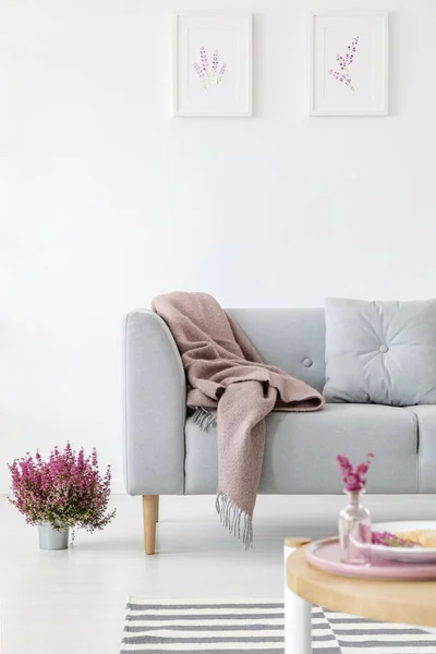 垂直视图舒适的灰色沙发在明亮的客厅内部与石南在锅和图形在白色框架上的墙壁上 真正的照片 — 图库照片