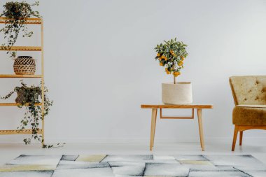 Doğa ve ilham verici ve en az yaşam retro tasarım iç kopya alanı boş beyaz duvar ile Oda