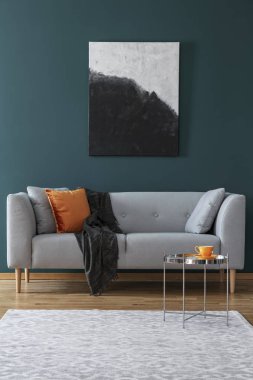 Battaniye ve yastık oturma odası iç tablo ile gri kanepe üzerinde boyama. Gerçek fotoğraf