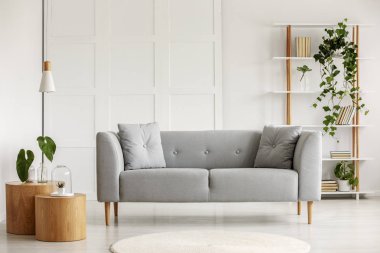 İki sehpa kitapları bir bitki tencere ile ahşap kitaplık ile zarif oturma odasında gri İskandinav koltuk yanındaki cam vazo içinde bitkiler ile yuvarlak