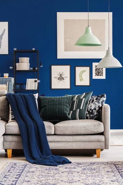 Gezellige Donker Blauwe Deken Emerald Kussens Grijze Bank Scandinavische Woonkamer — Stockfoto