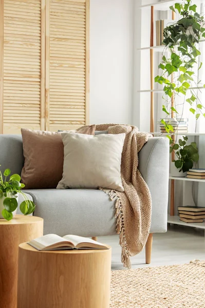 Großstadtdschungel Natürlichen Wohnzimmer Mit Beige Kissen Auf Grau Couch Und — Stockfoto