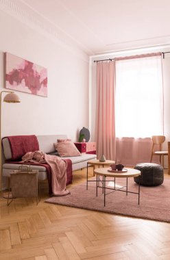 Kahve tablo ve eski okul kabarık yastıklar ile zarif oturma odasında pastel pembe halı üzerinde ve battaniye gri rahat kanepede