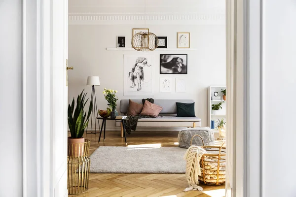 Affiches Dessus Canapé Avec Coussins Dans Appartement Blanc Intérieur Avec — Photo