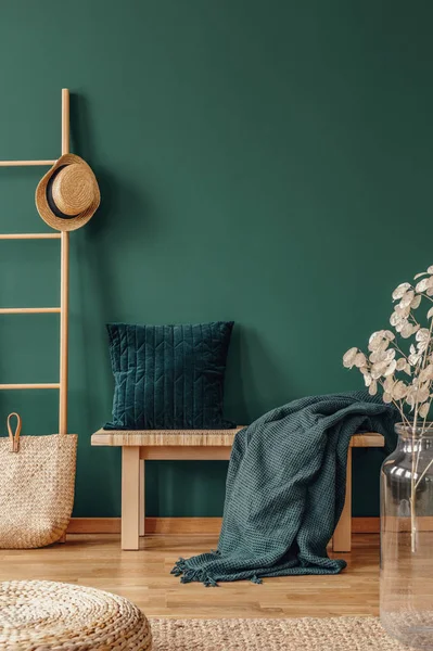 枕头和毯子在长凳上 在绿色的公寓内部与植物 Pouf 和帽子在梯子上 真实照片 — 图库照片