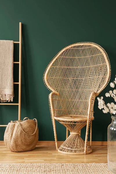 Scandinavian Ladder Blanket Next Rathan Peacock Chair Elegant Room Green — стоковое фото