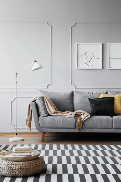Real Photo Grey Sofa Striped Rug Pouf Living Room Interior — Stock Photo, Image