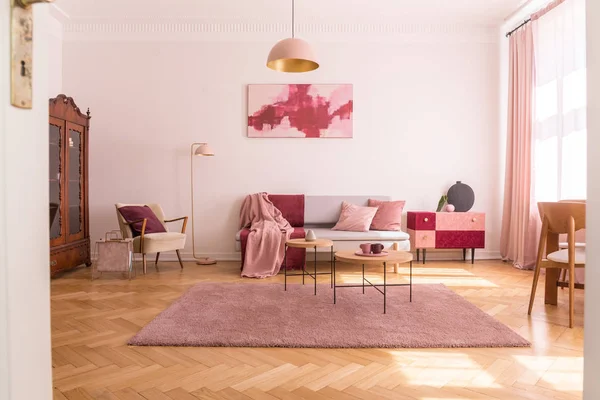 Trendy Woonkamer Interieur Met Grijs Couch Met Pastel Roze Kussens — Stockfoto