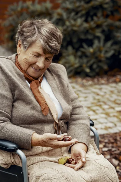 Bejaarde Vrouw Rolstoel Het Park Met Kastanjes Haar Handen Glimlachen — Stockfoto