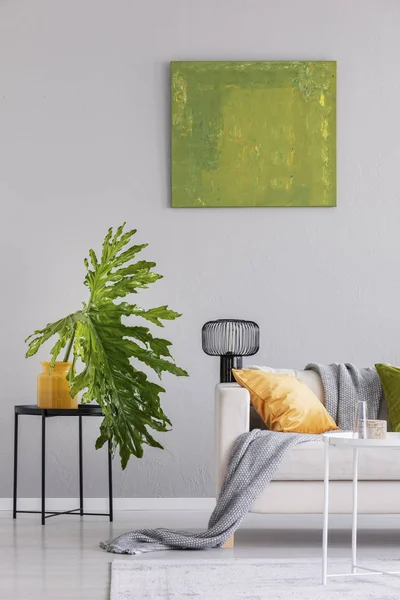 Planta Sobre Mesa Junto Sofá Con Lámpara Manta Loft Gris — Foto de Stock