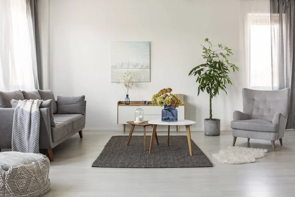 Salón Blanco Con Cómodo Sillón Mesas Centro Sofá Escandinavo Gris — Foto de Stock