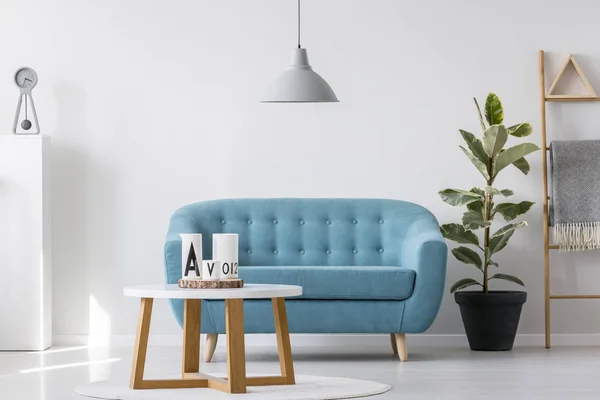 Weißer Holztisch Neben Blauer Eleganter Couch Hellen Wohnzimmerinterieur Mit Pflanze — Stockfoto