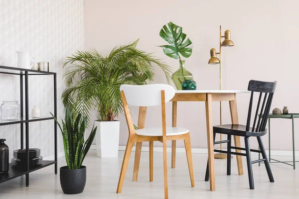 Cadeira Branca Preta Mesa Madeira Sala Jantar Interior Com Plantas — Fotografia de Stock