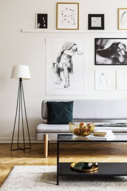 Lambanın yanındaki gri kanepe yastık oturma odası iç masa ve posterler ile. Gerçek fotoğraf