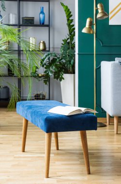 Trendy mavi kadife tezgah ile çağdaş oturma odasının ortasında açık kitap