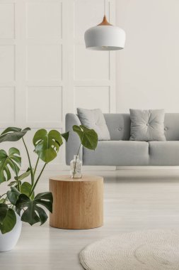 Gri beyaz duvar kanepeye şık oturma odası