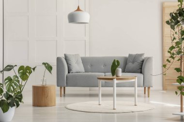 Yeşil yaprak gri İskandinav koltuk ile şık oturma odasında yuvarlak ahşap sehpa üzerinde beyaz cam aranjman