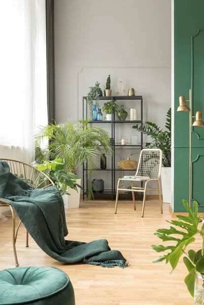 Selva Urbana Interior Verde Cinza Com Mobiliário Elegante — Fotografia de Stock