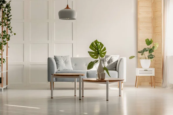 白色花瓶的绿叶在圆形木制咖啡桌上 宽敞的客厅配有灰色沙发 植物和木制家具 — 图库照片