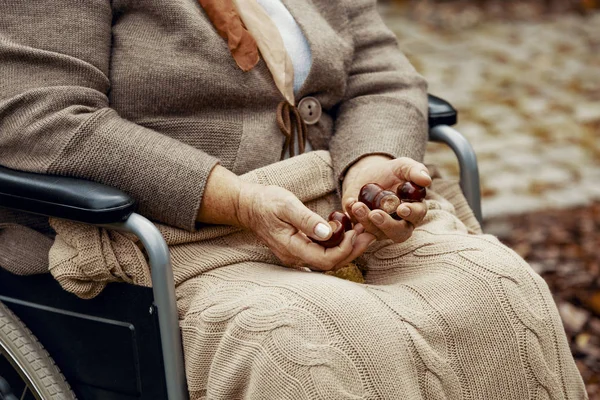Κοντινό Πλάνο Της Ηλικιωμένης Στο Αναπηρικό Καροτσάκι Κάστανα Στα Χέρια — Φωτογραφία Αρχείου